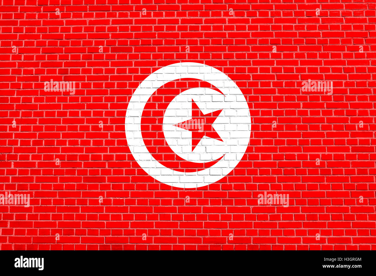 Drapeau officiel national tunisien. Symbole patriotique africaine, bannière, élément, arrière-plan. Drapeau de la Tunisie sur la texture mur de briques Banque D'Images