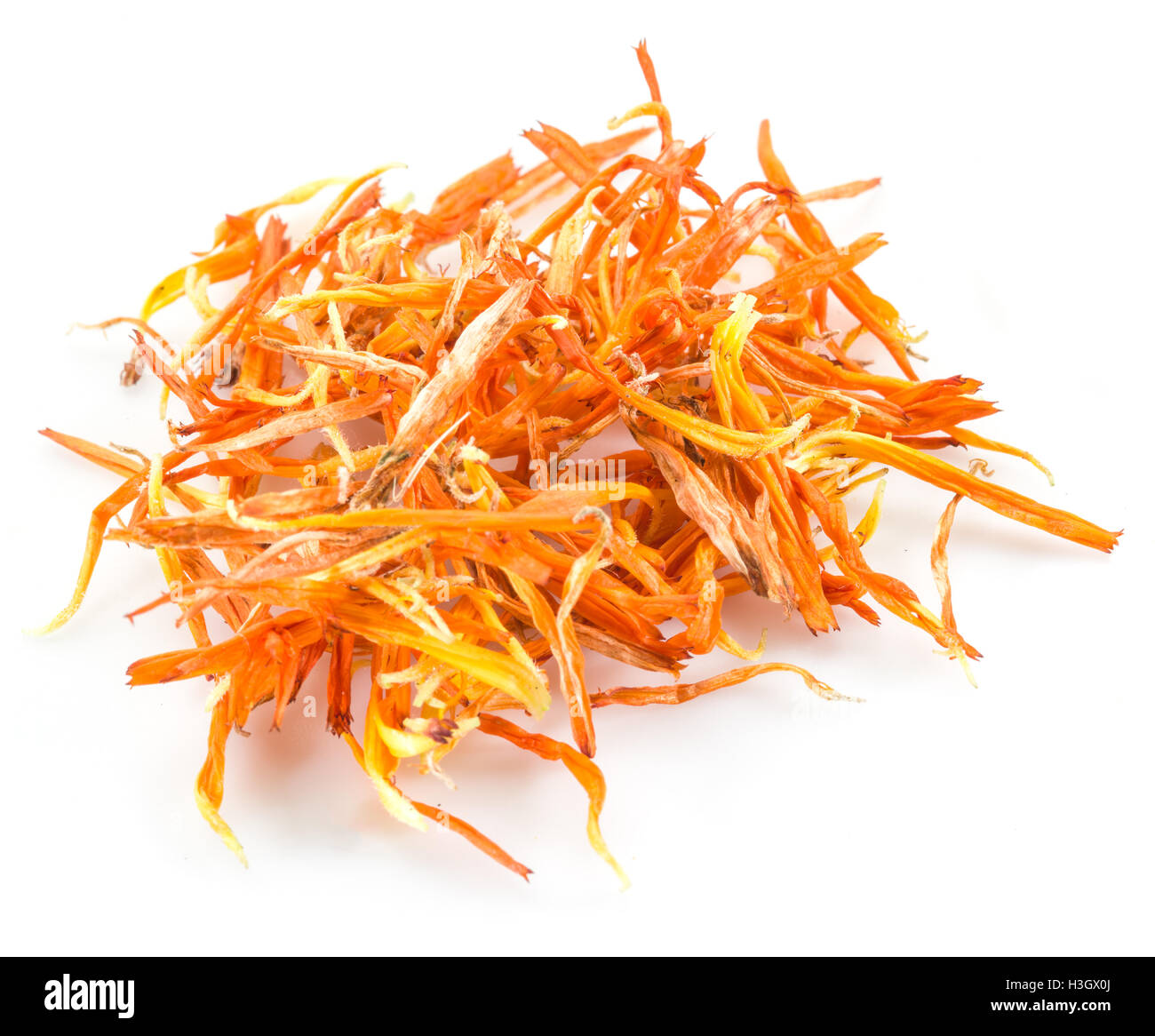 Marigold fleurs calendula sèches ou sur un fond blanc. Banque D'Images