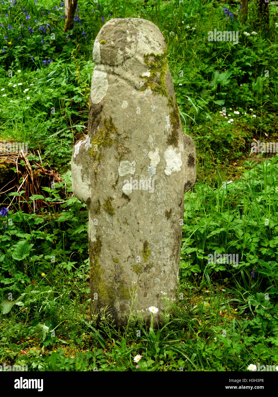 Riasg Buidhe pierre, une ancienne Croix celtique, Colonsay House Gardens, à l'île de Colonsay, Ecosse, Royaume-Uni. Banque D'Images