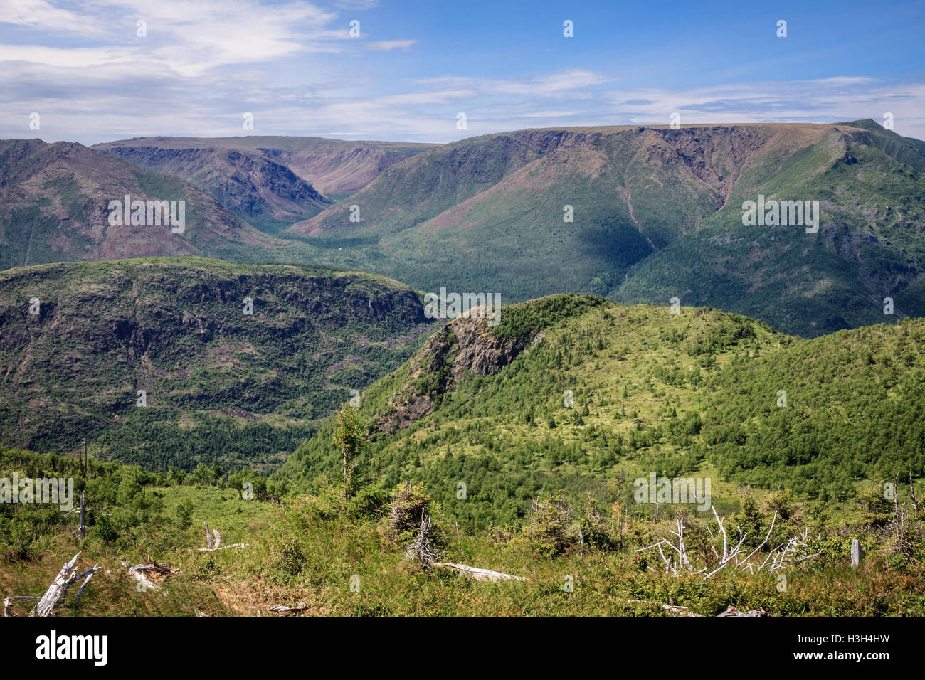 Le mont Ernest-Laforce sentiers dans le parc de la Gaspésie, Québec, Canada Banque D'Images