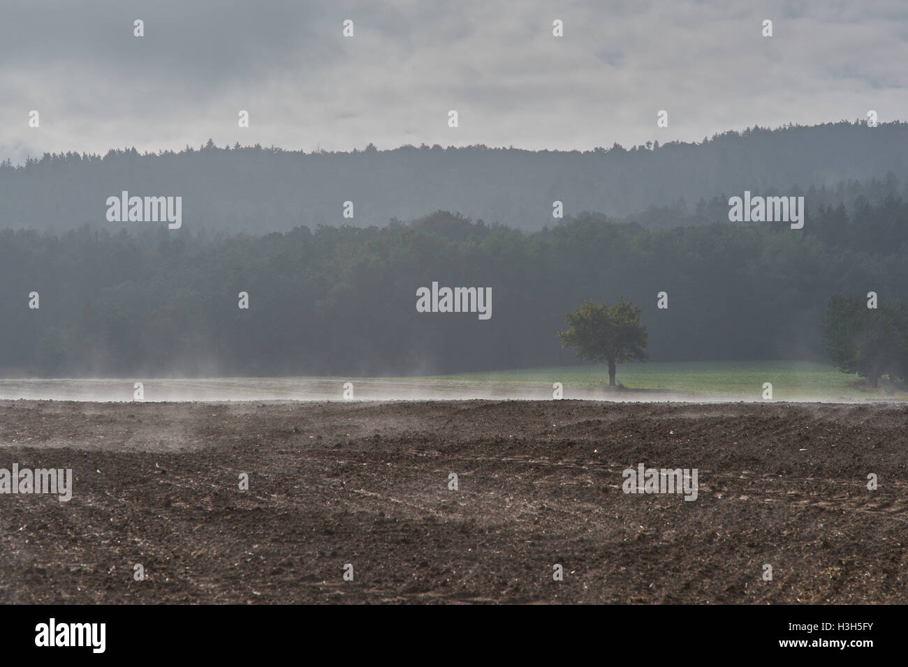 L'augmentation de la brume sur les champs ondulés en octobre matin Banque D'Images