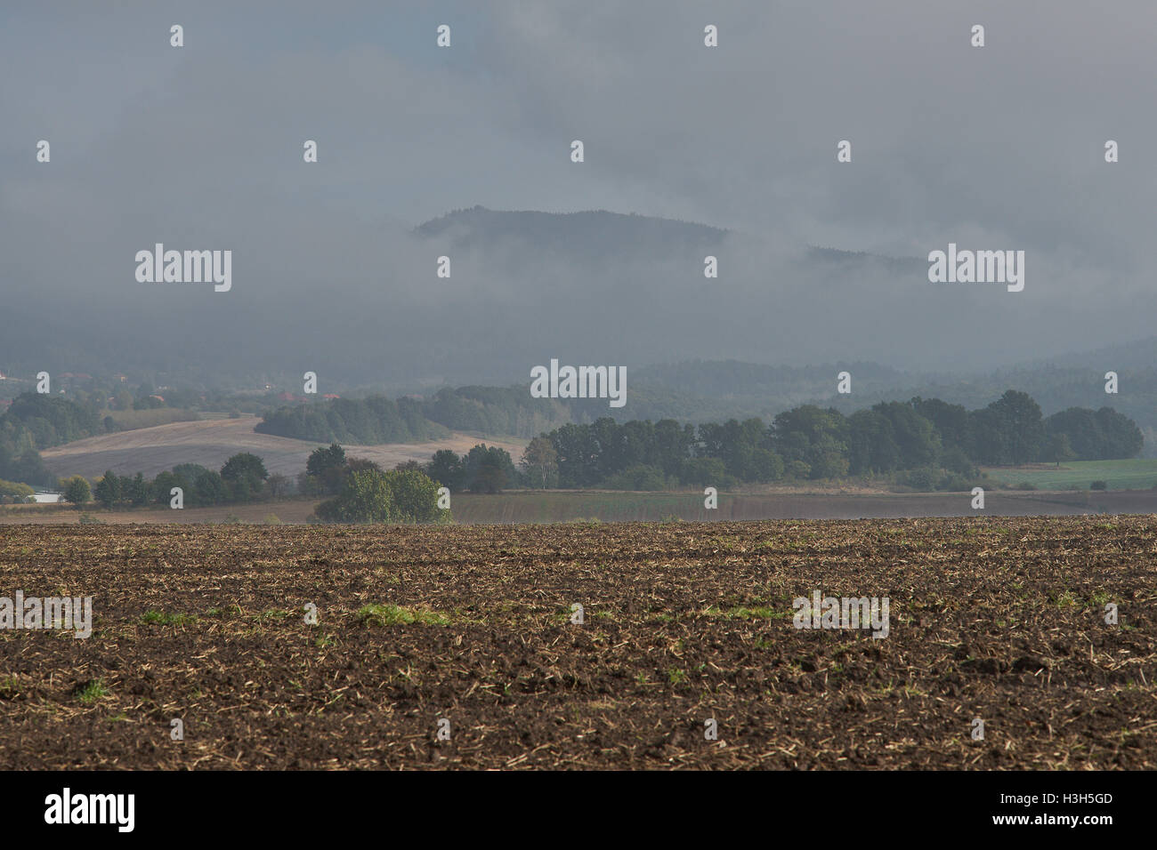 L'augmentation de la brume sur les champs ondulés en octobre matin Banque D'Images