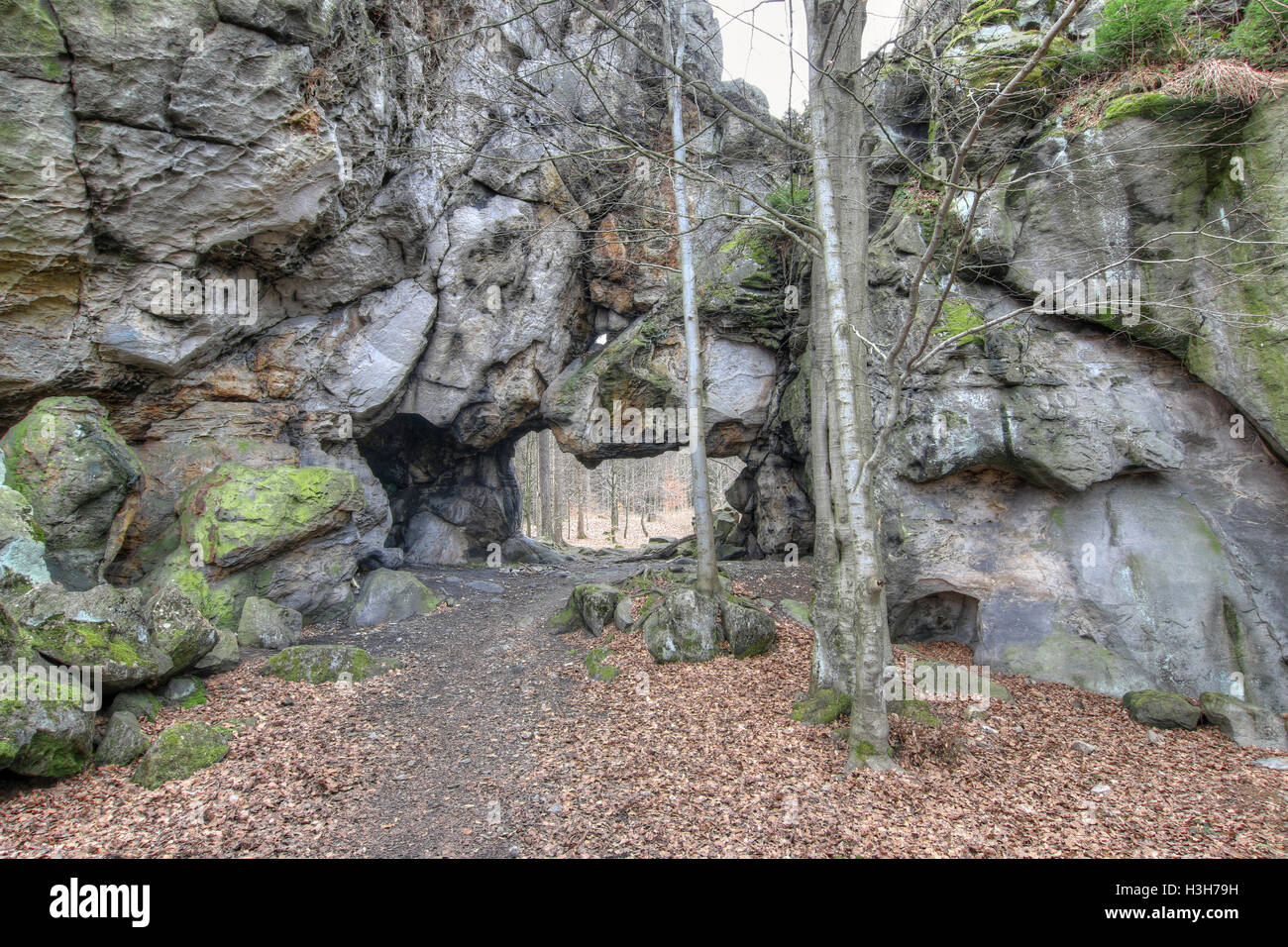 Grande porte de pierre dans les ruines du château l'Milstejn, République Tchèque Banque D'Images