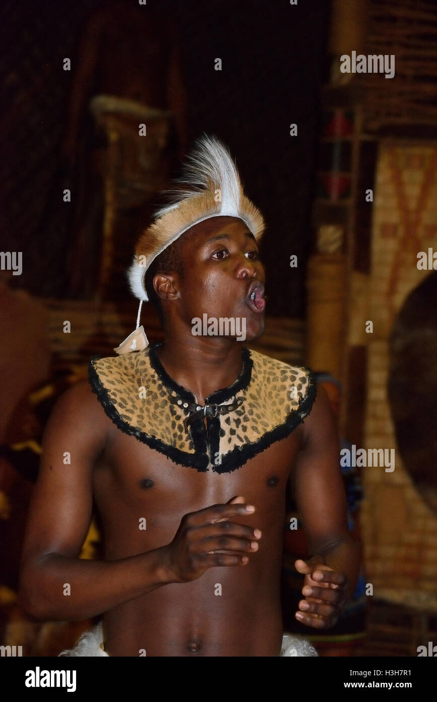 Membre de la troupe Zulu pose en costume traditionnel en face d'une peau animale tendue à Shakaland Zulu Cultural Village, Kwazulu-Natal, Afrique du Sud Banque D'Images
