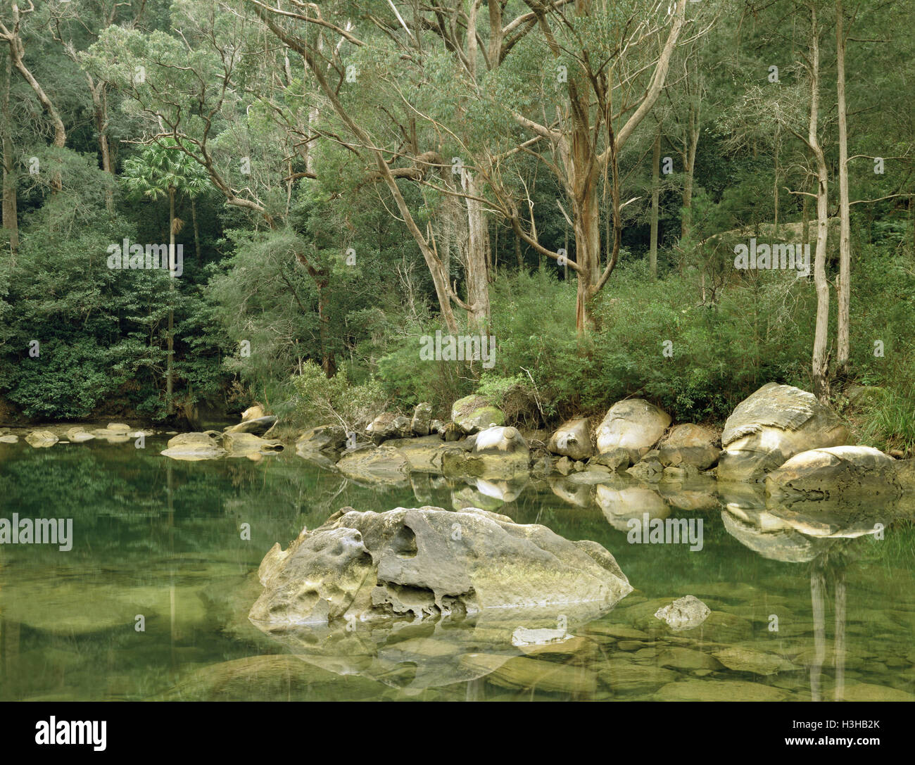 Mccarrs creek, Banque D'Images