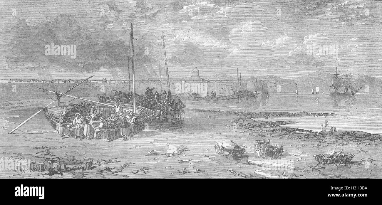 L'ÉCOSSE Newhaven Pier Fishing-Boats est arrivé en 1862. Illustrated London News Banque D'Images