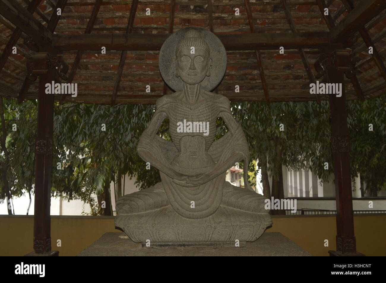 Statue de Bouddha à kelaniya temple Banque D'Images