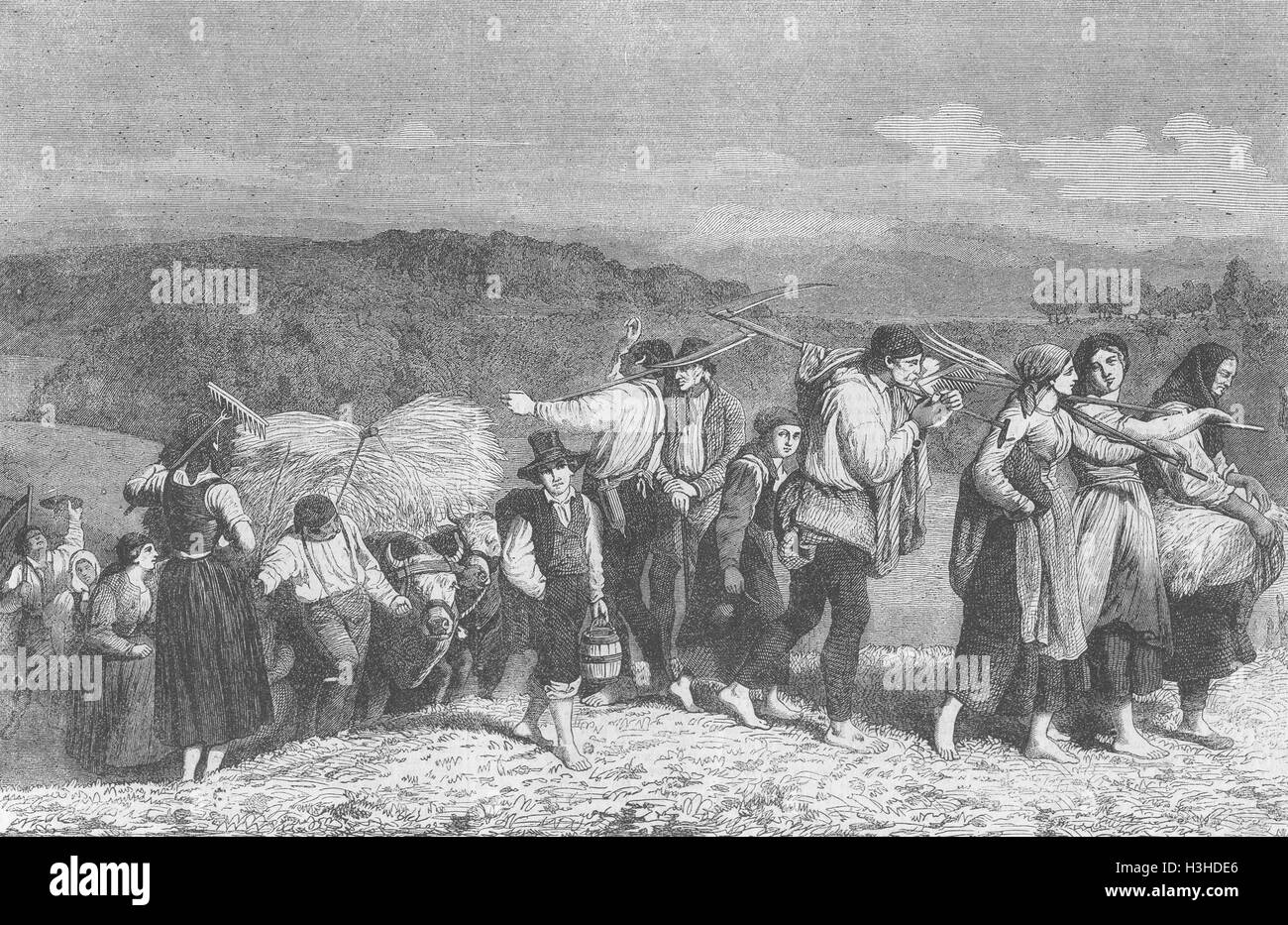 L'Allemagne, la fenaison 1860 dernier chargement. Illustrated Times Banque D'Images