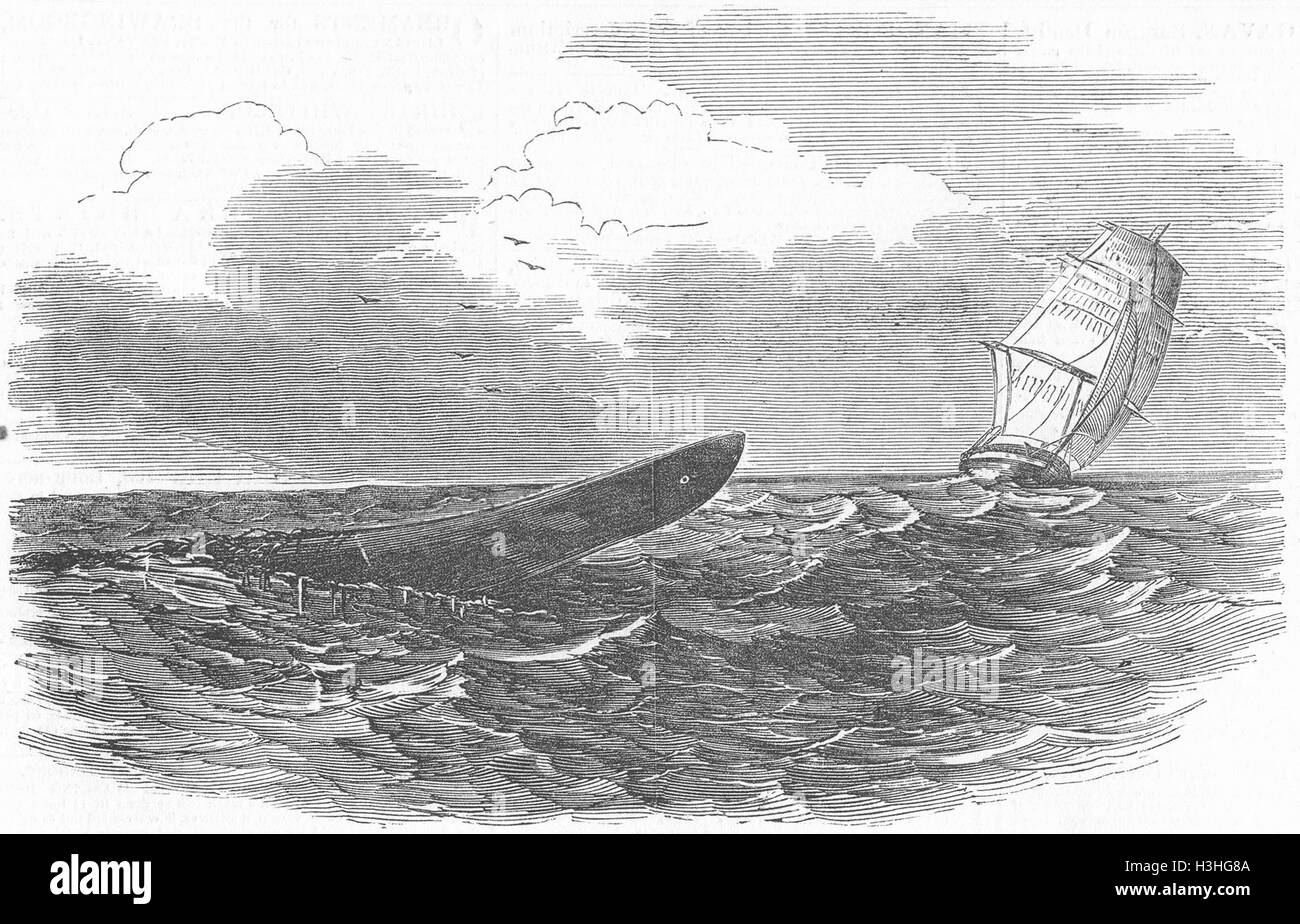 Les paysages marins mer gt-serpent, du HMS Plumper, officier en 1849. Illustrated London News Banque D'Images