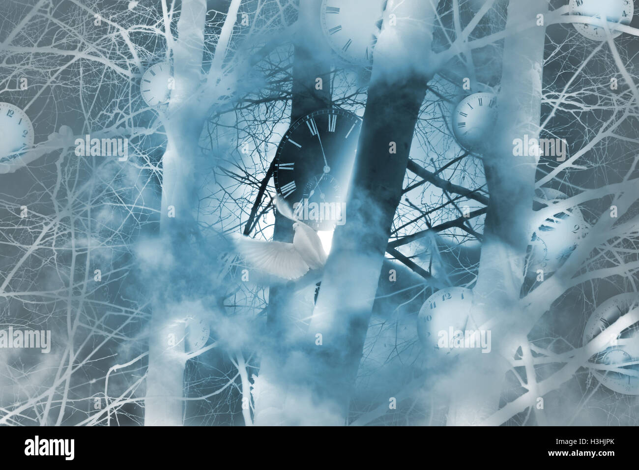 Concept de temps mystique dont l'horloge sans aiguilles, debout entre les brindilles en forêt brumeuse et un noir à proximité d'une colombe blanche. Banque D'Images
