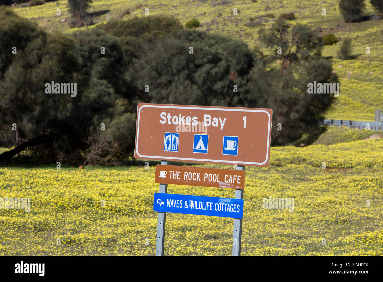 Signe brun touristiques pour Stokes Bay sur la côte nord de l'île Kangourou, Australie du Sud au printemps. Banque D'Images