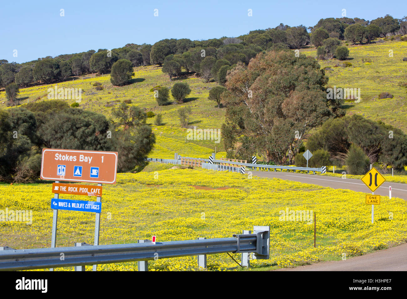 Signe brun touristiques pour Stokes Bay sur la côte nord de l'île Kangourou, Australie du Sud au printemps. Banque D'Images