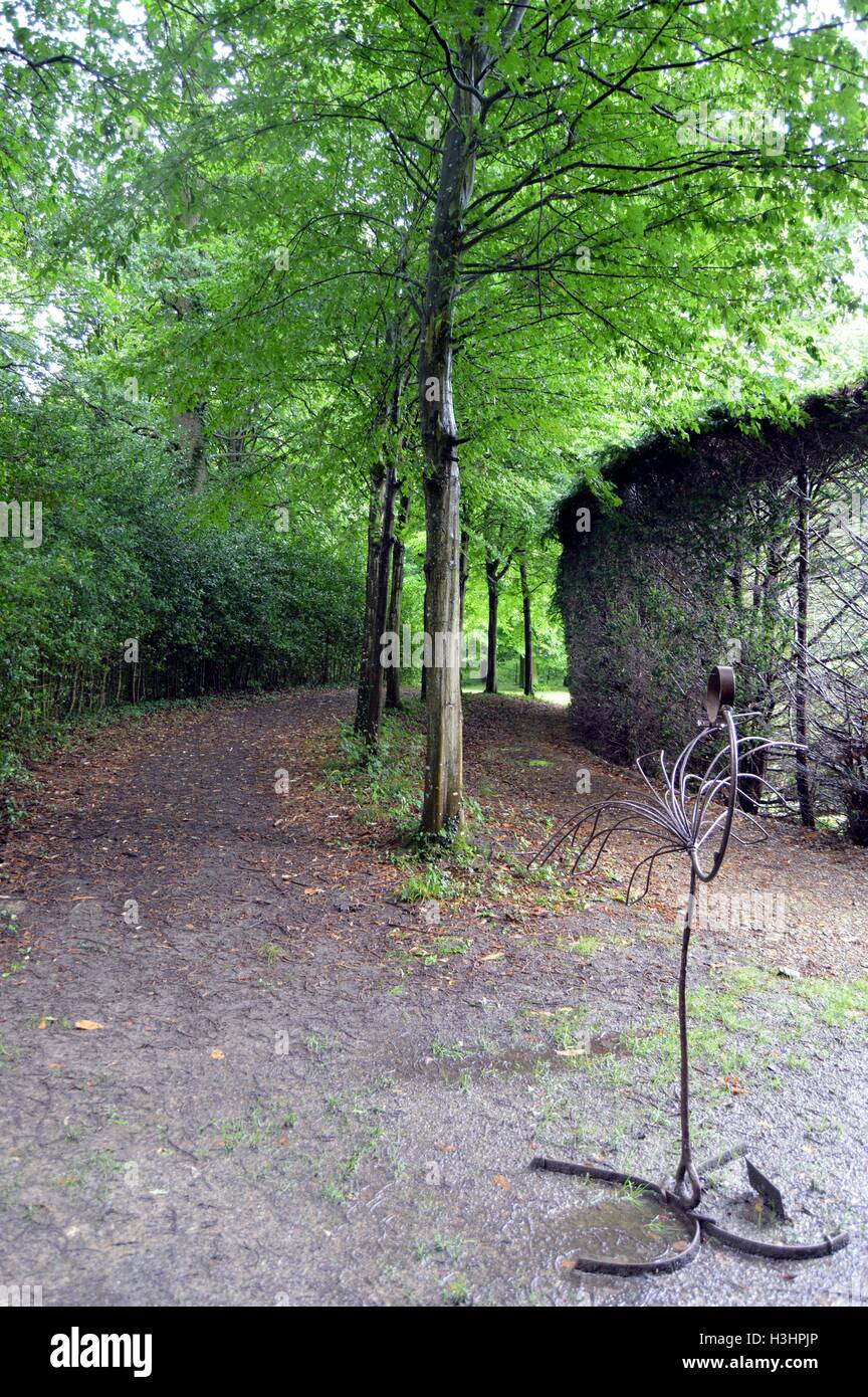 Sentier pierreux dans la forêt une journée d'été. Banque D'Images