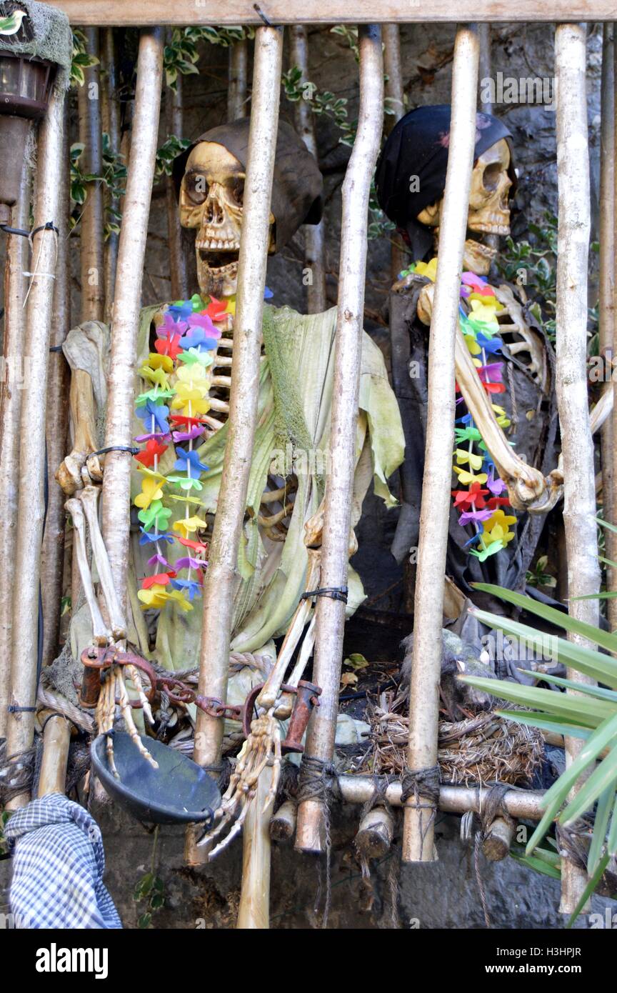 Deux squelettes dans une cage en bois avec des colliers autour du cou Banque D'Images