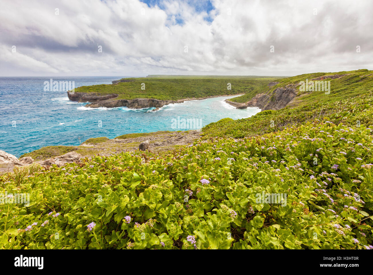 Vue sur la lagune porte d'enfer ou Hel's Gate, Guadeloupe Banque D'Images