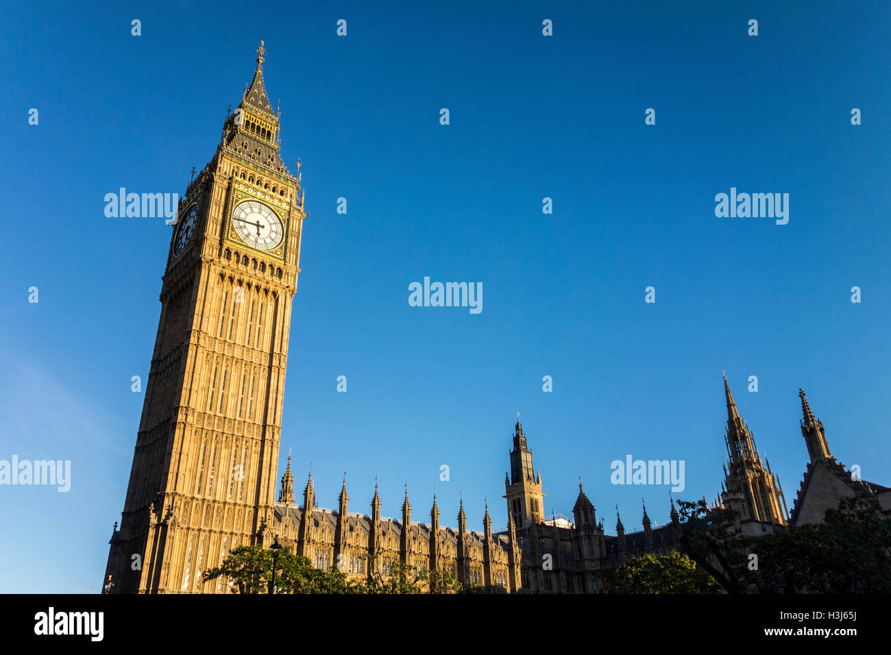 Tour de l'horloge au Palais de Westminster (Big Ben). London, UK Banque D'Images