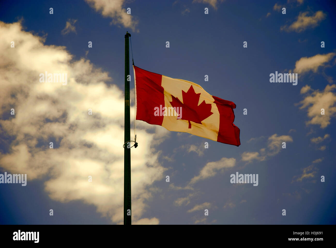 Brandir le drapeau canadien sur le vent Banque D'Images