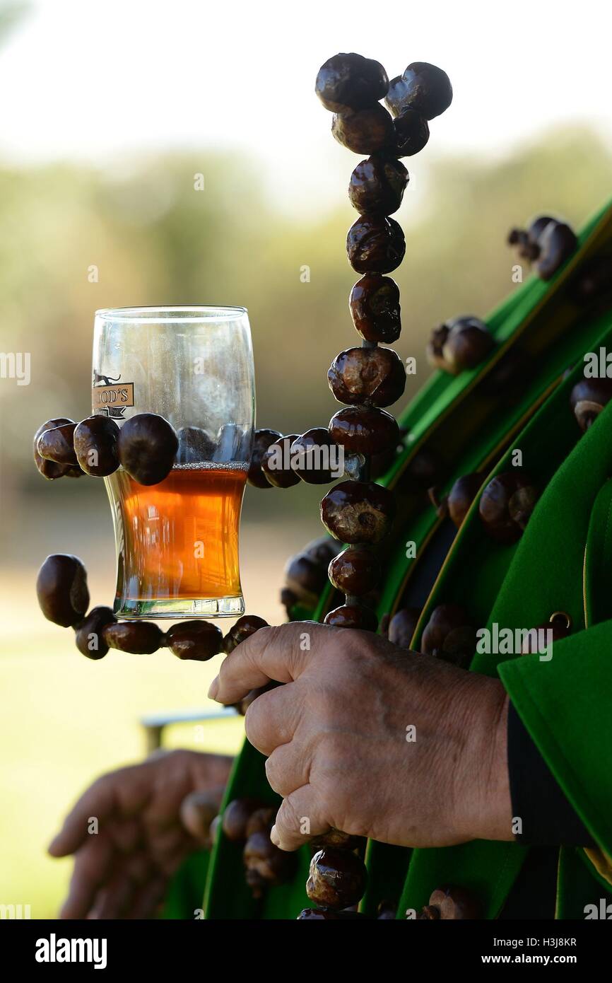 'Roi' de Conker repose sa bière dans un effectif de conkers durant la 51e Championnats du monde à la Conker Shuckburgh Armes dans Southwick, Northamptonshire. Banque D'Images