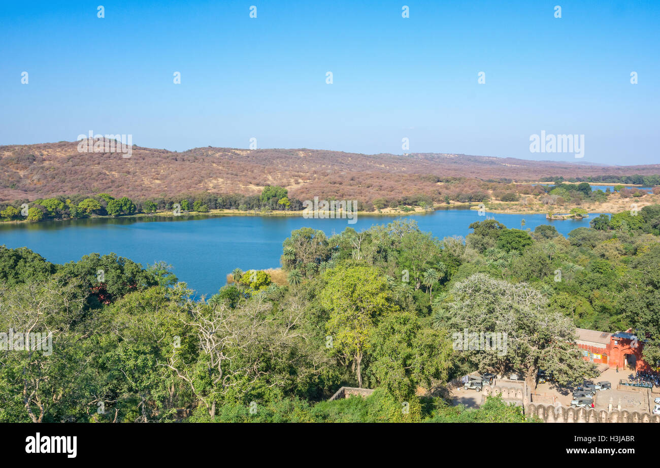 Vaste Padma Lake dans le Parc National de Ranthambhore, Inde Banque D'Images