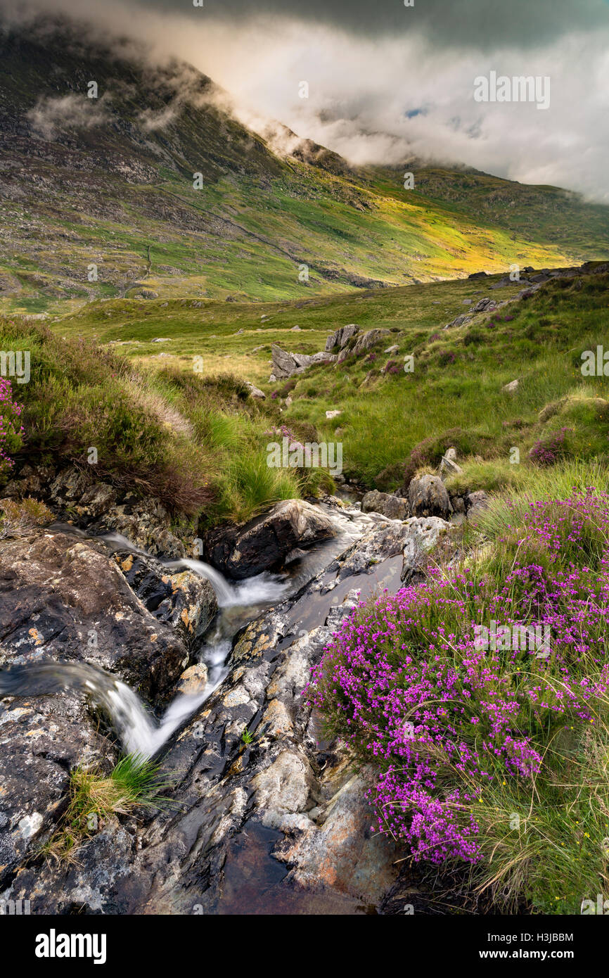 Un flux off Nant Gwryd découle de Llyn Cwmffynnon menant à Dyffryn Mymbyr. Banque D'Images