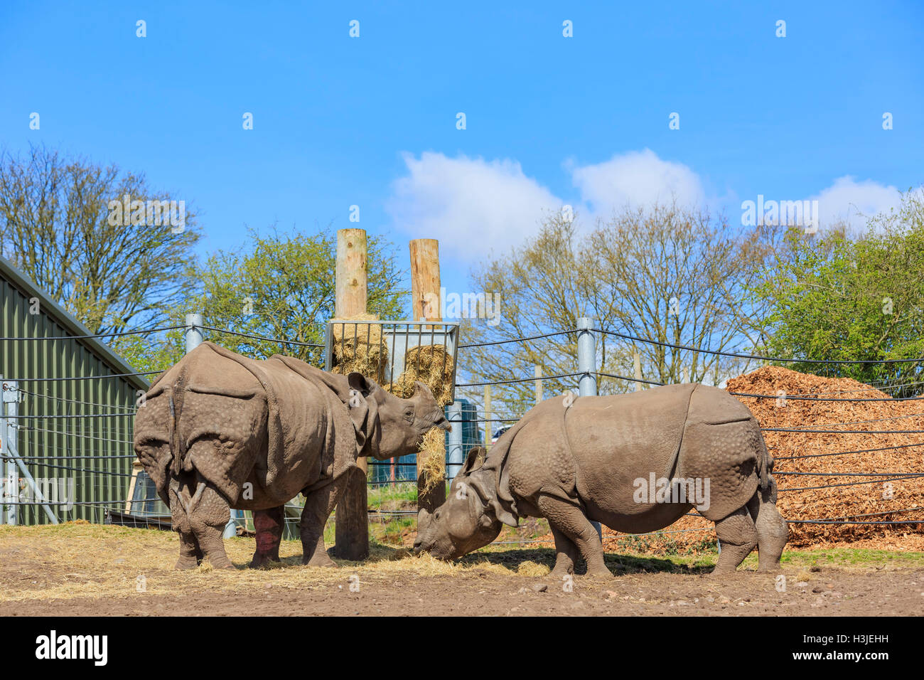 Spring Grove, APR 23 : voyager dans la magnifique West Midland Safari Park on APR 23, 2016 à Spring Grove, United Kingdom Banque D'Images