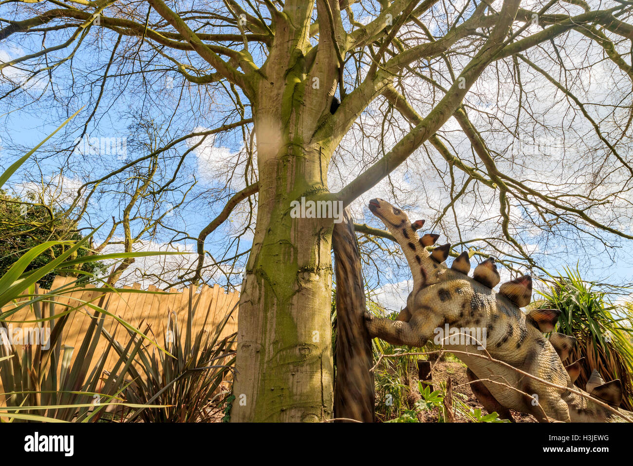 Spring Grove, APR 23 : modèle dinosaure Stégosaure dans la belle West Midland Safari Park on APR 23, 2016 à Spring Grove, Unité Banque D'Images