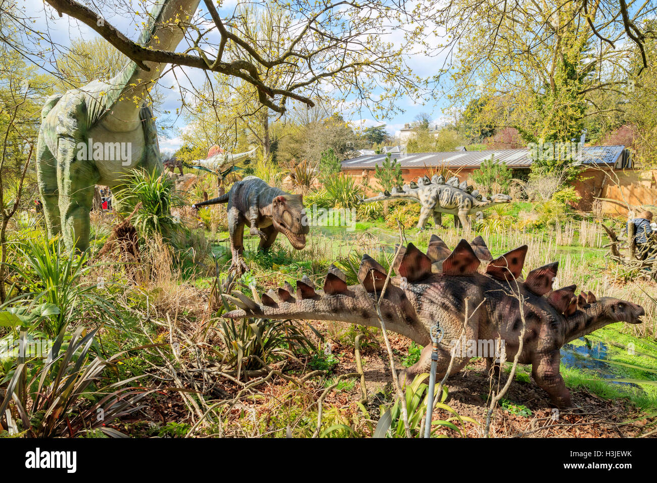 Spring Grove, APR 23 : modèle dinosaure Stégosaure dans la belle West Midland Safari Park on APR 23, 2016 à Spring Grove, Unité Banque D'Images