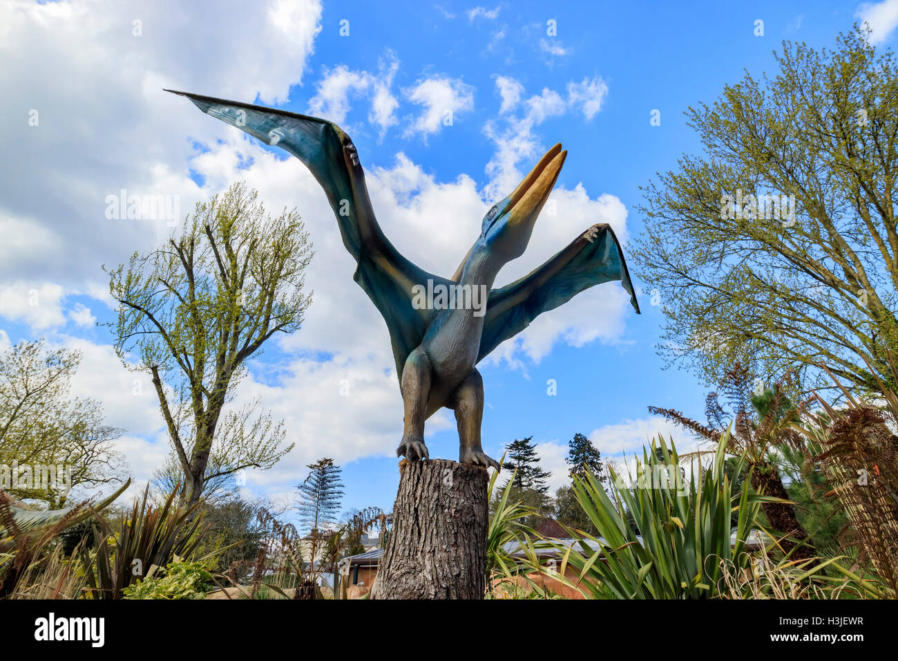 Spring Grove, APR 23 : modèle dinosaure pterodactyl dans la belle West Midland Safari Park on APR 23, 2016 à Spring Grove, Unité Banque D'Images