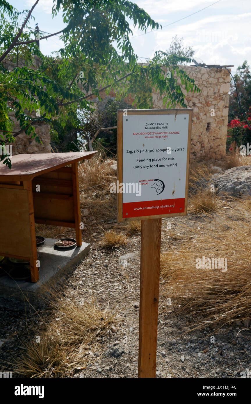 Station d'alimentation chat de Halki, près de Rhodes, Dodécanèse, Grèce. Banque D'Images