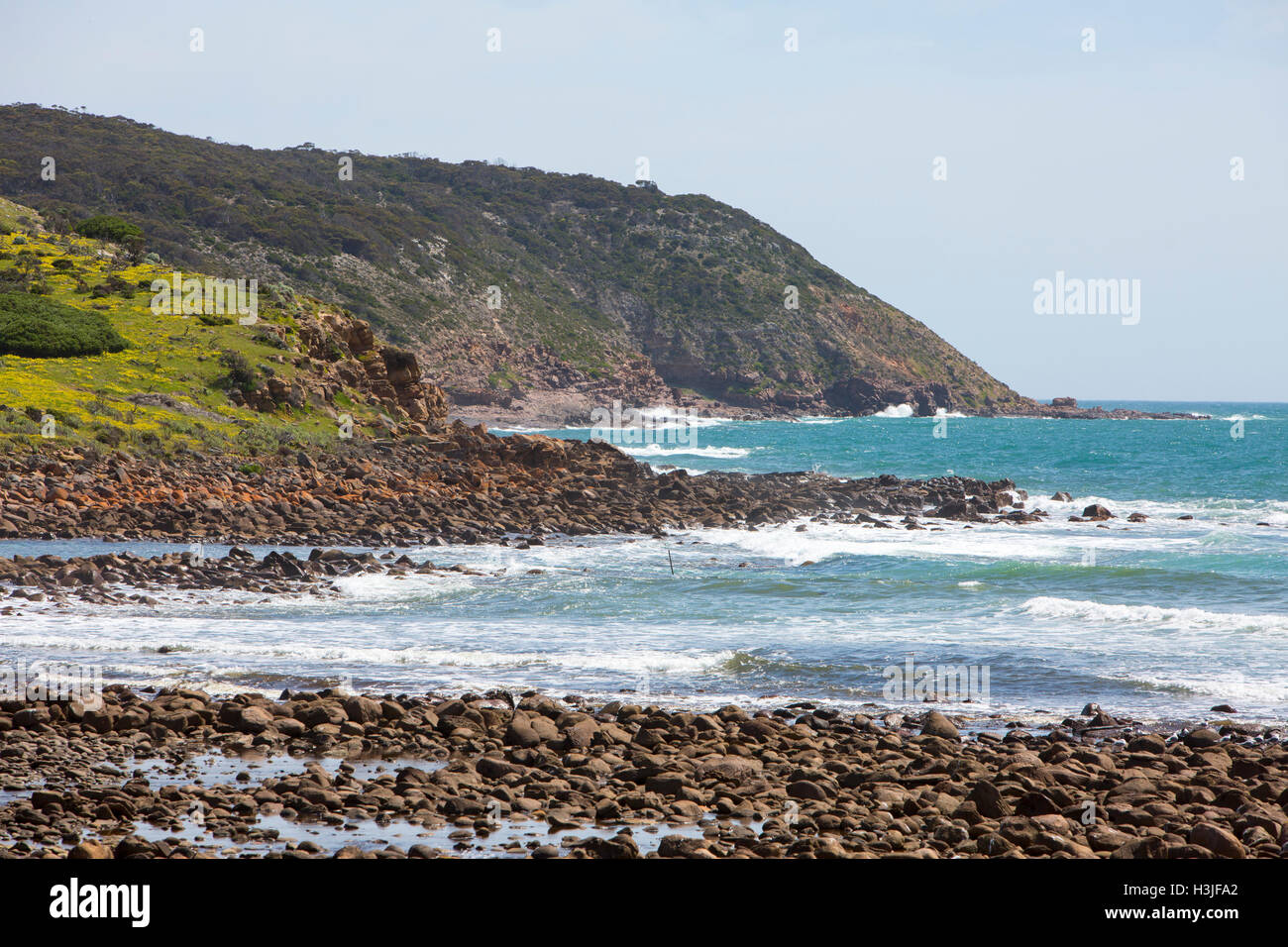 Stokes Bay, situé sur la côte nord de l'île Kangourou, troisième plus grande île de l'Australie, l'Australie du Sud Banque D'Images