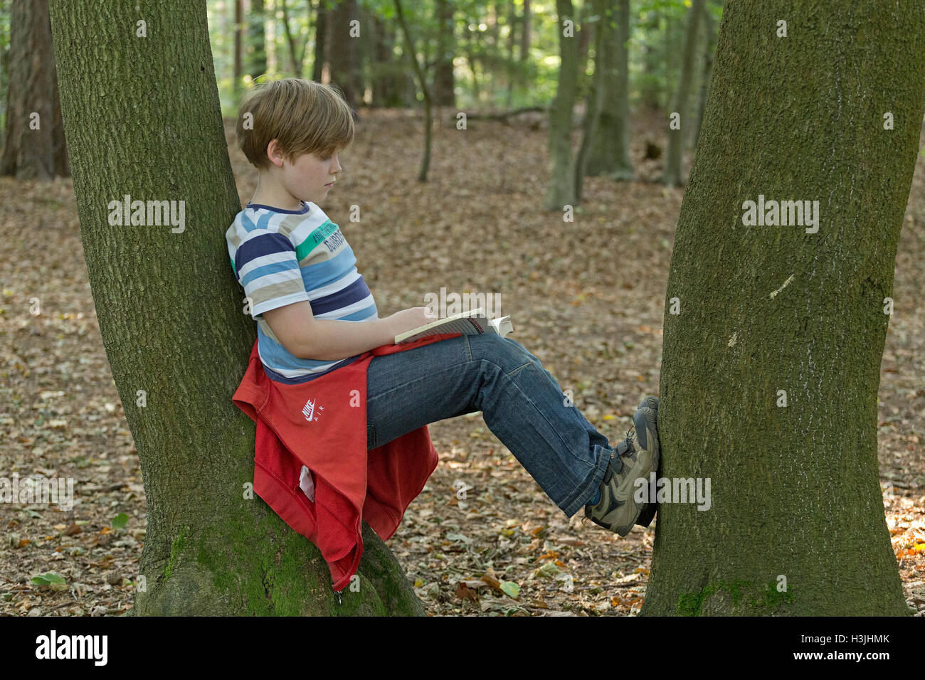 Jeune garçon lisant un livre entre deux arbres Banque D'Images