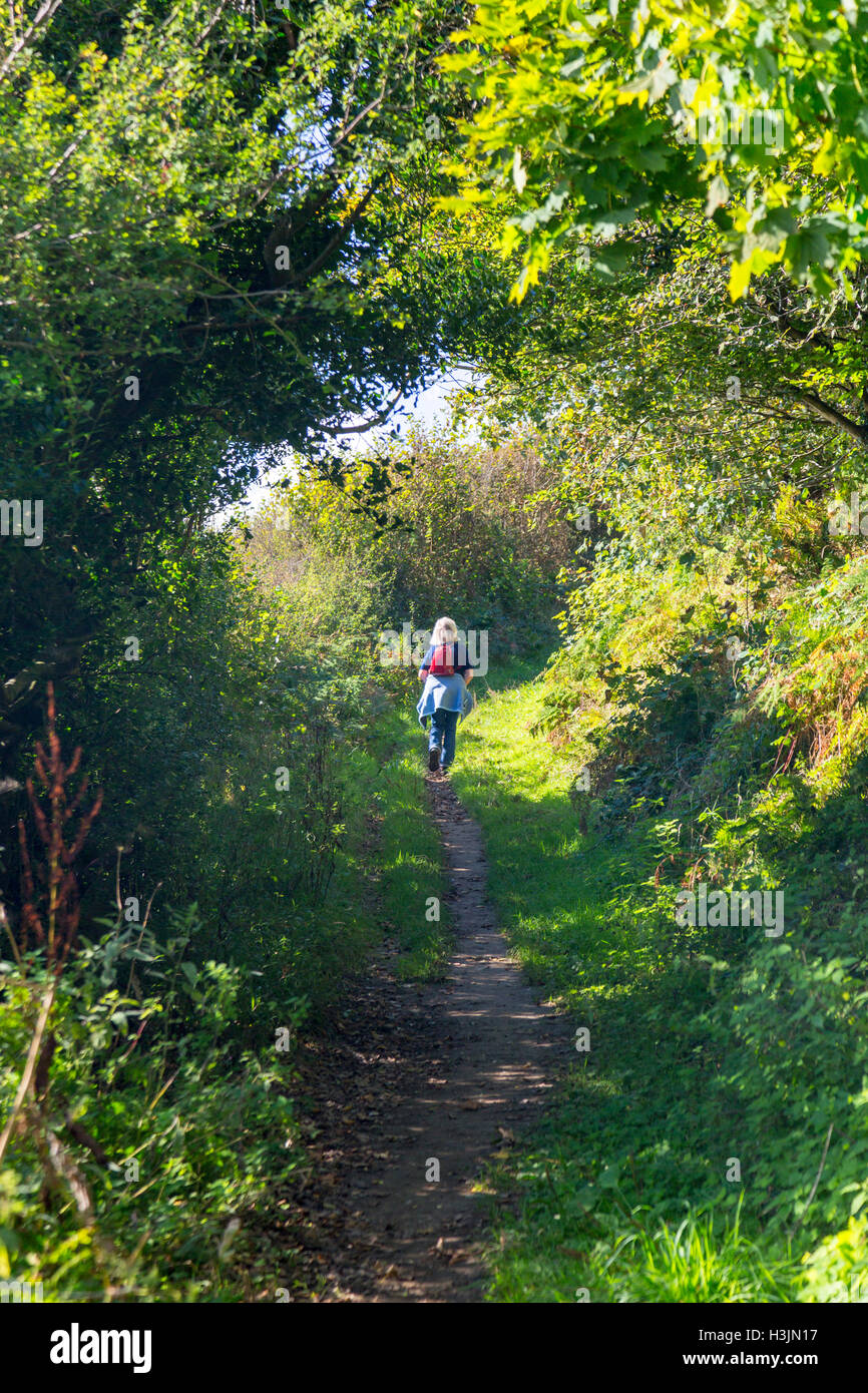 Le sentier à Golden Cap au bord de Langdon Woods au-dessus de Seatown, Dorset, England, UK Banque D'Images