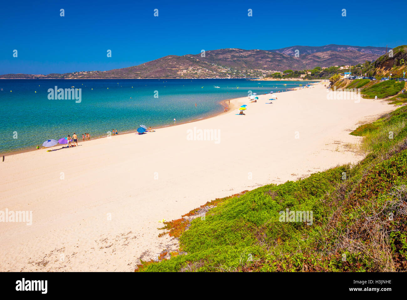 Belle plage de sable avec rochers et tourquise l'eau claire dans le Golfe de Sagone, Corse, France, Europe. Banque D'Images