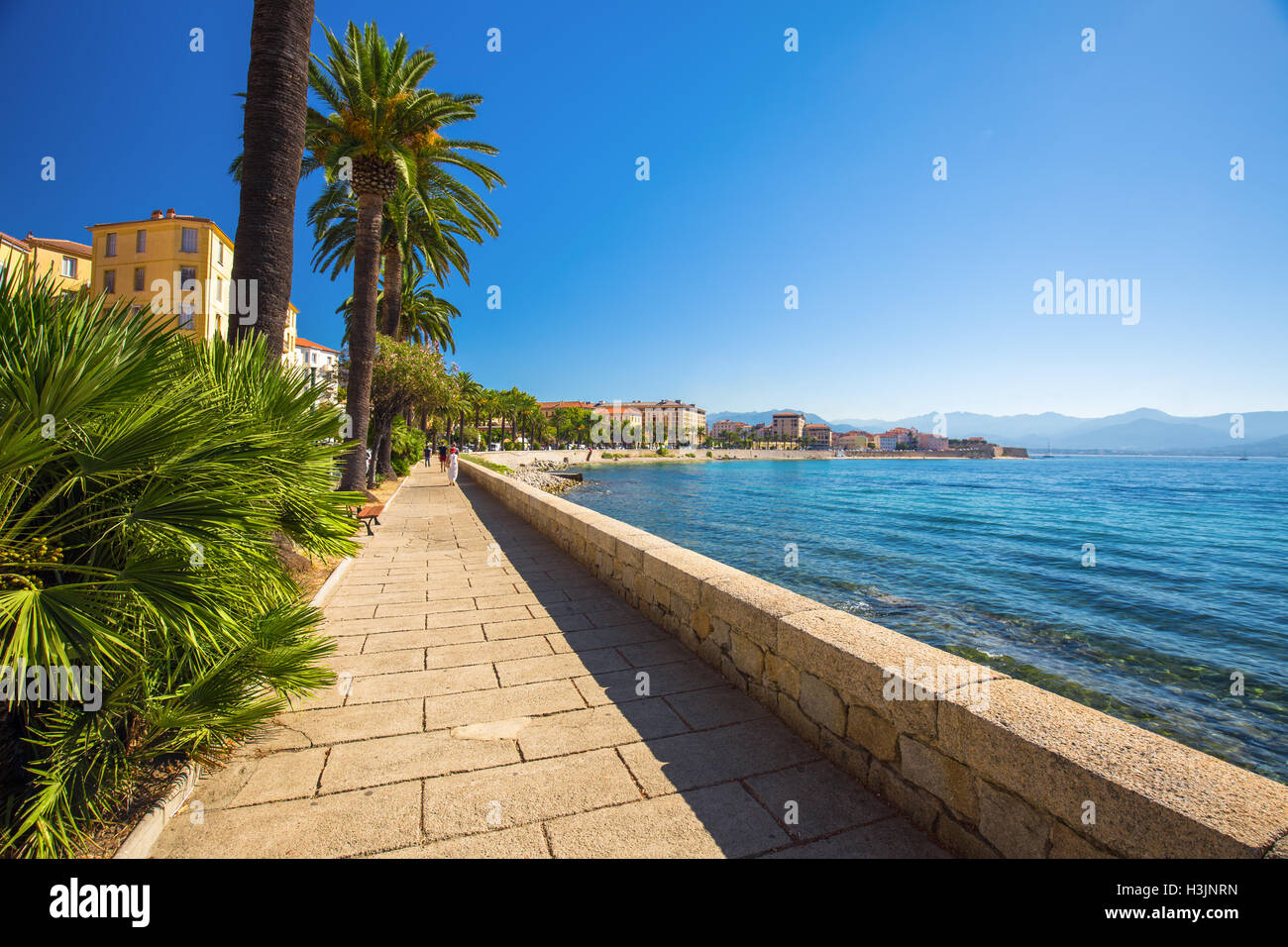 Le vieux centre-ville d'Ajaccio ville côtière avec des palmiers et de vieilles maisons typiques, Corse, France, Europe. Banque D'Images