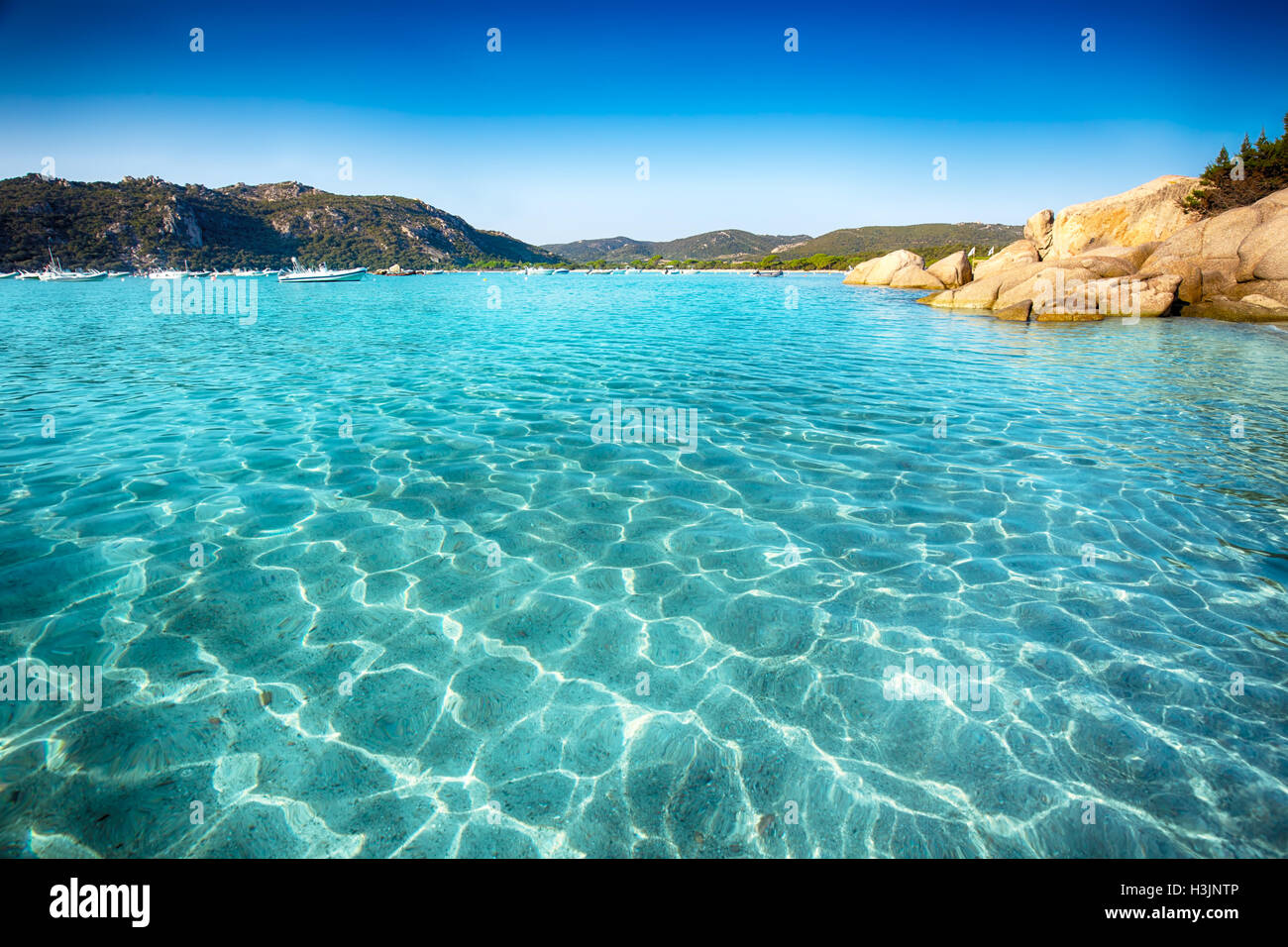 Plage de Santa Giulia avec roches rouges, de pins et d'azur de l'eau claire, Corse, France. Banque D'Images