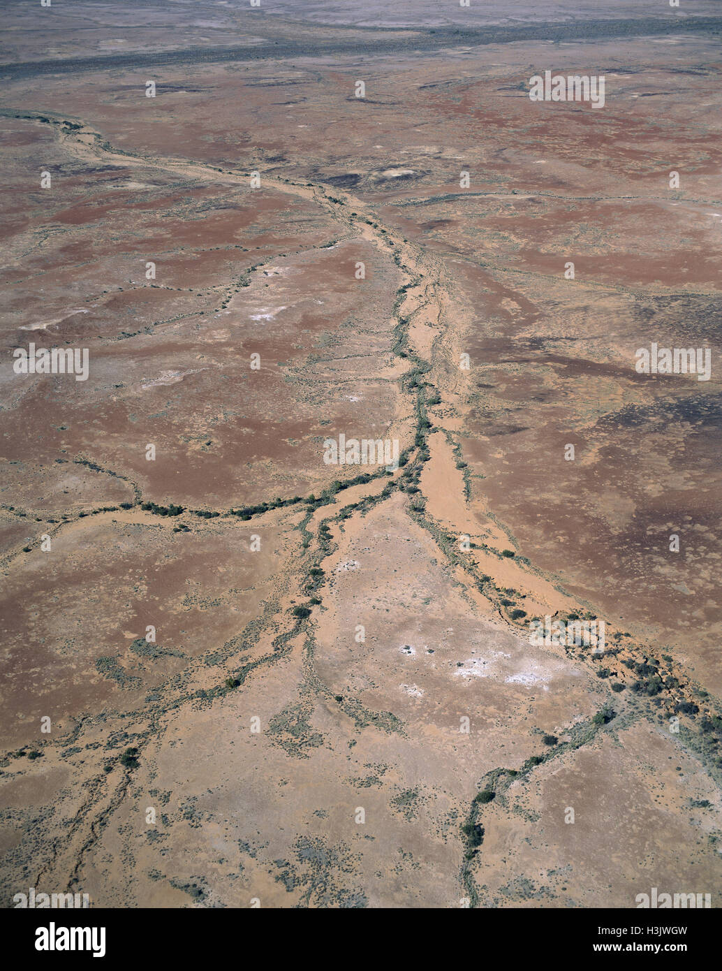 Gibber plain et isolées, de dunes de sable Banque D'Images