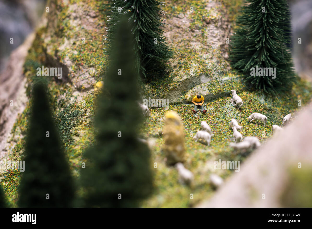 Les gens miniature : jeune berger lire un livre et moutons marcher autour de lui sur l'herbe verte de la pelouse. Macro photo, Banque D'Images