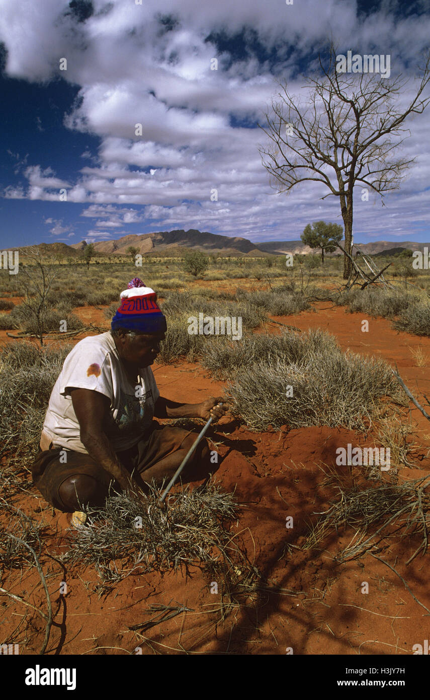 Femme autochtone du Mont Liebig (Bush Leaves groupe linguistique) Banque D'Images