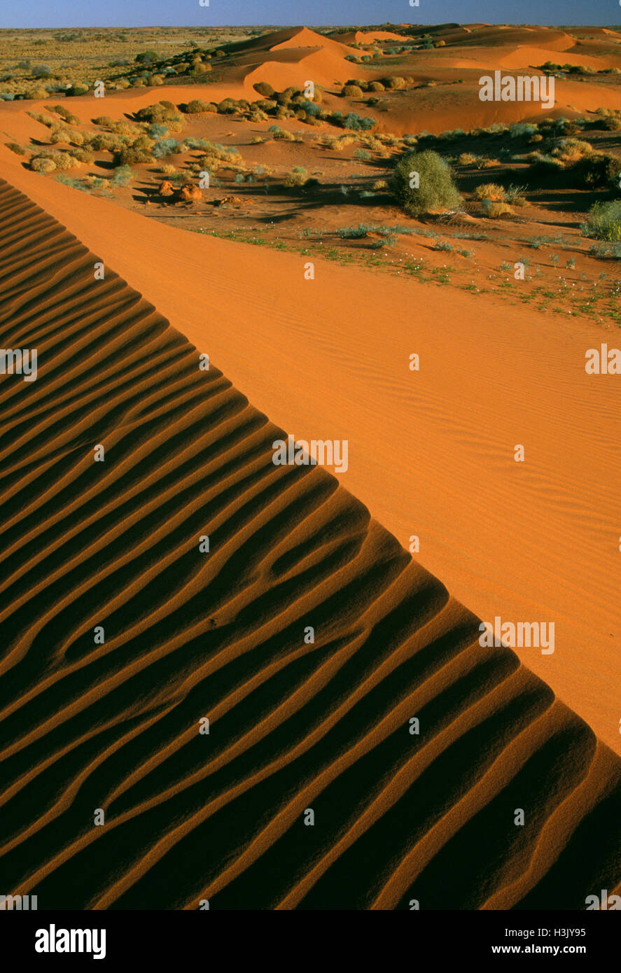 Dunes de sable, Banque D'Images