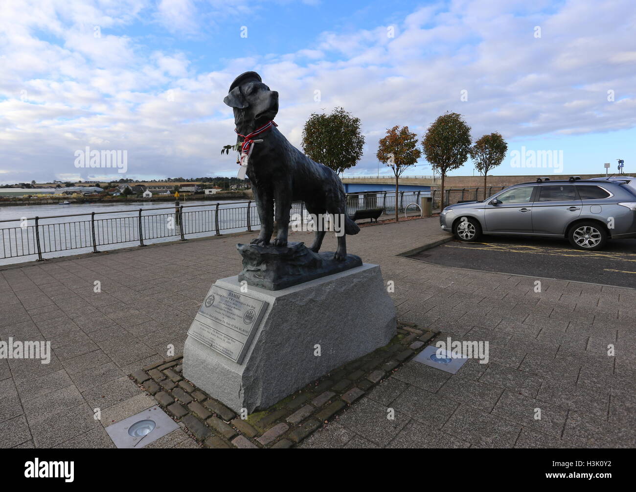 Statue de bamse un chien Saint Bernard au port de Montrose, Angus, Scotland octobre 2016 Banque D'Images