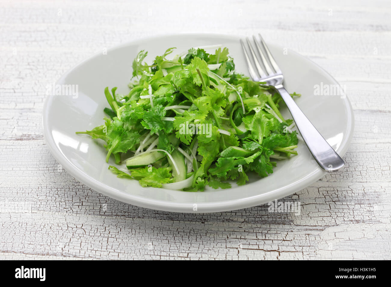 salade de coriandre Banque D'Images