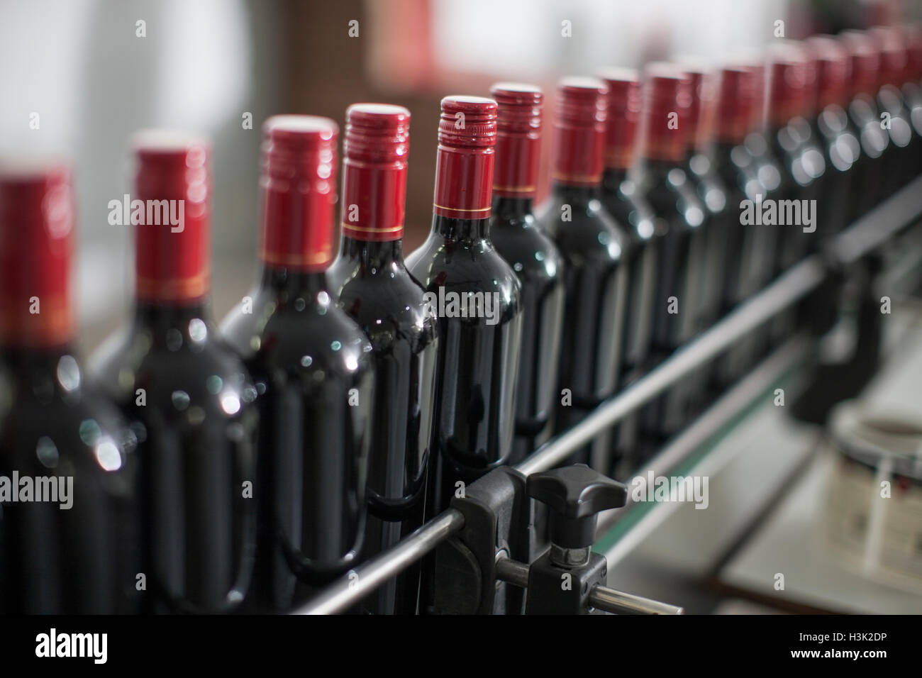 Rangée de bouteilles de vin rouge sur la ligne de production de l'usine d'embouteillage de vin Banque D'Images