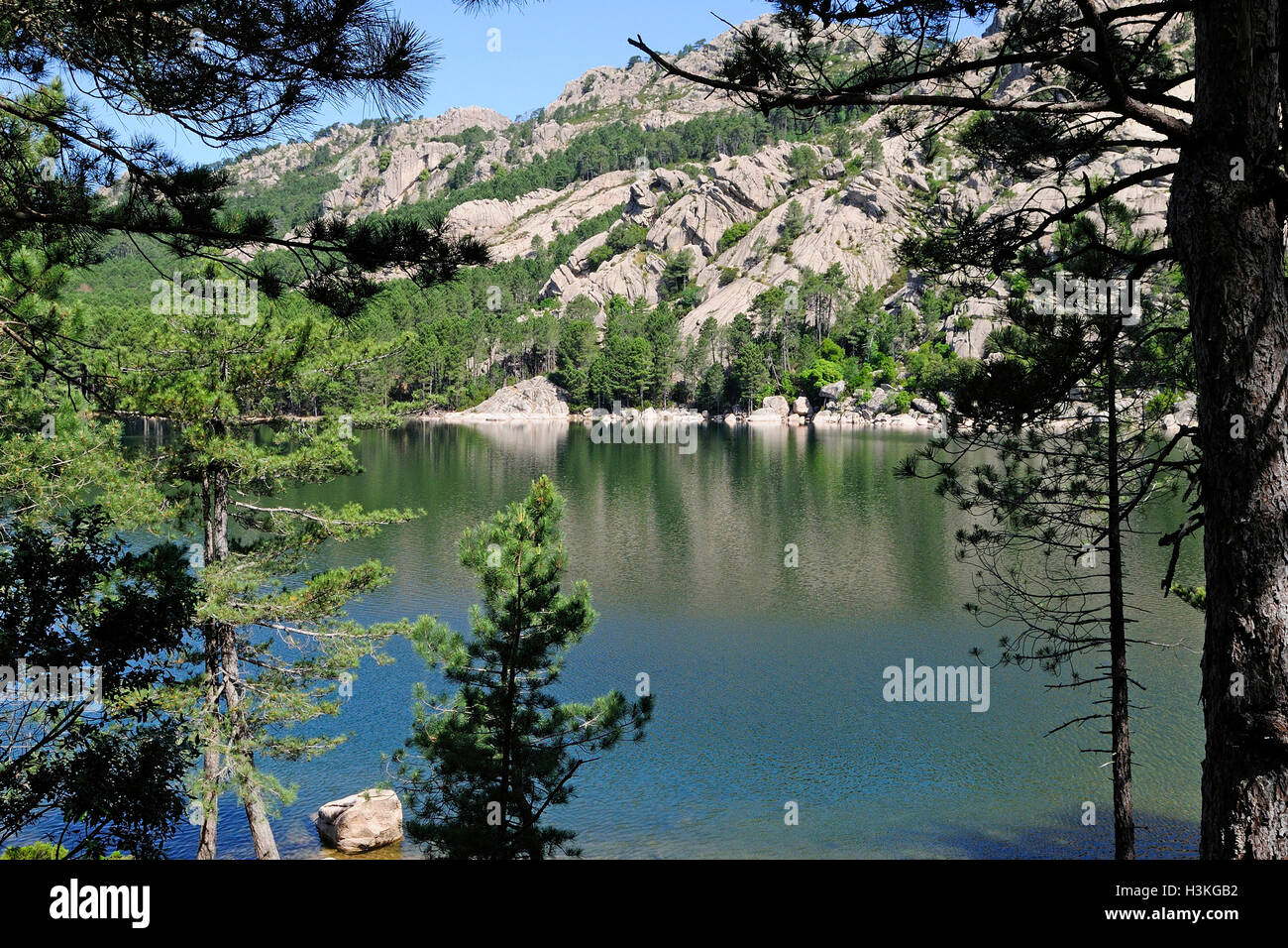 Paysage sauvage avec lac et montagnes sur un arrière-plan. L'île de Corse, France, le lac de l'Ospedale Banque D'Images