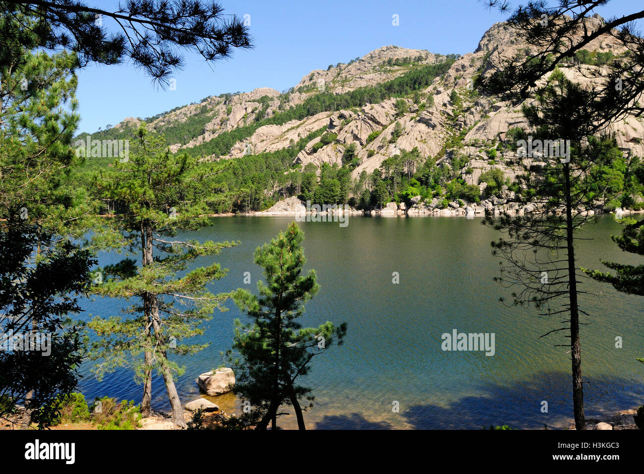 Paysage sauvage avec lac et montagnes sur un arrière-plan. L'île de Corse, France, le lac de l'Ospedale Banque D'Images