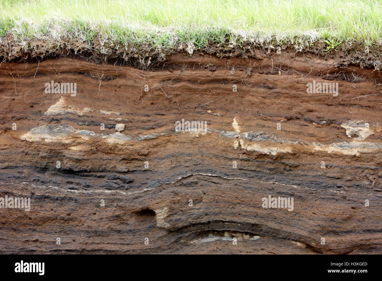 Les strates du sol section croix y compris les couches de cendres volcaniques de l'Islande Banque D'Images