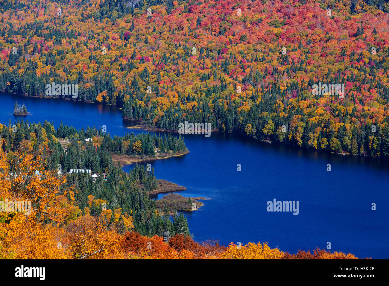 Coloré, spectaculaire paysage d'automne dans le parc national du Mont-Tremblant-Canada. Banque D'Images