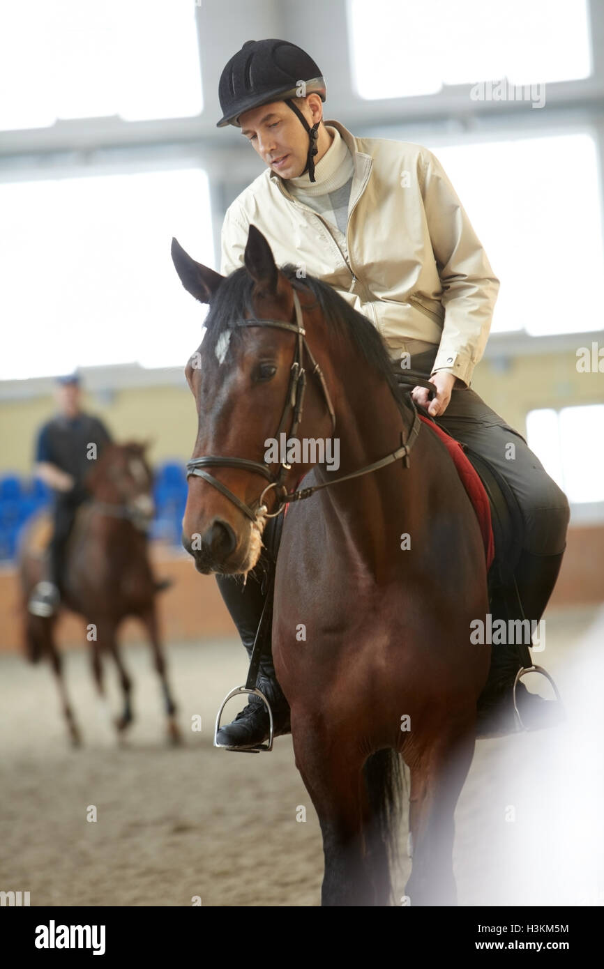 Course de chevaux Banque D'Images