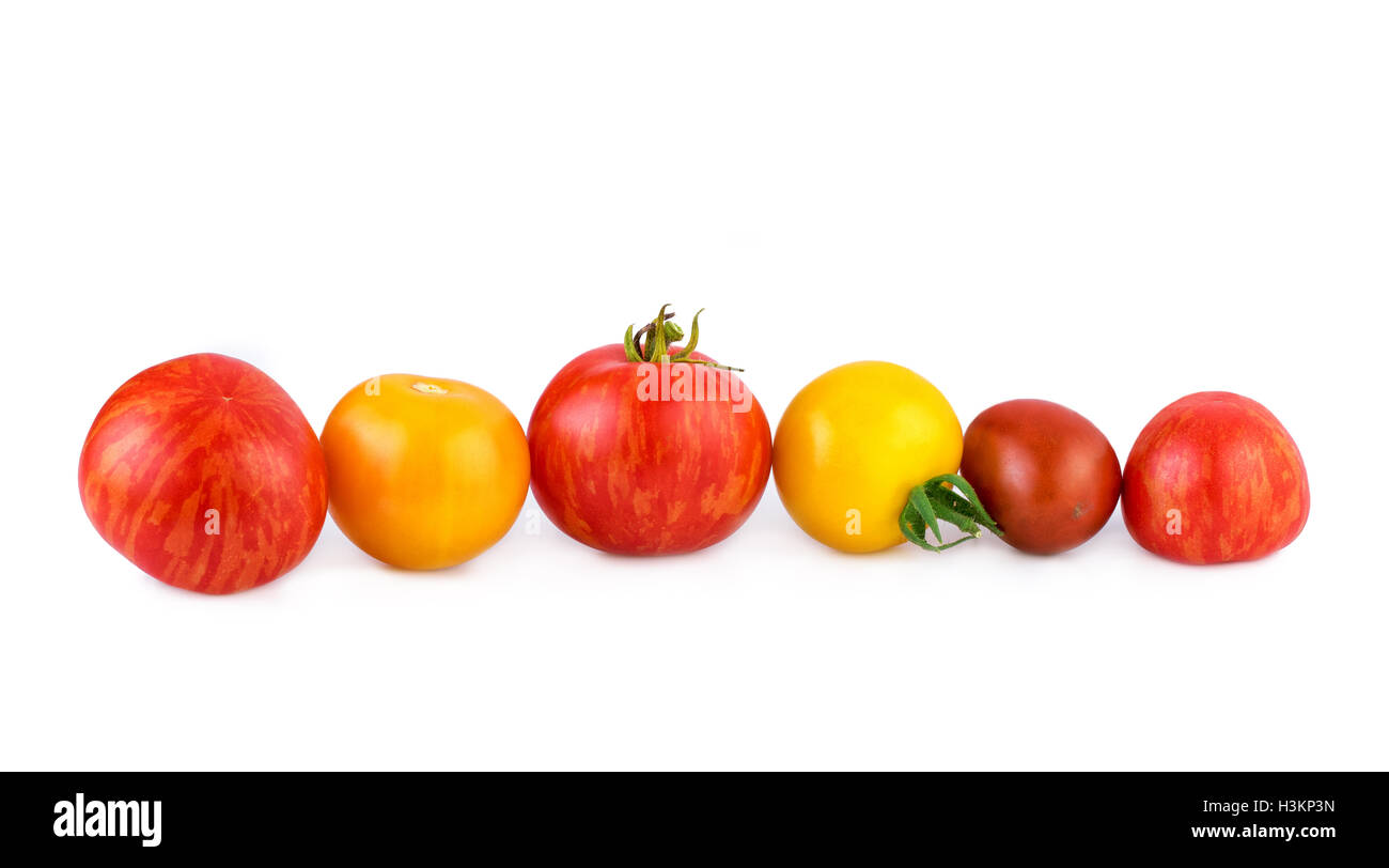Les tomates dans une ligne droite sur blanc Banque D'Images
