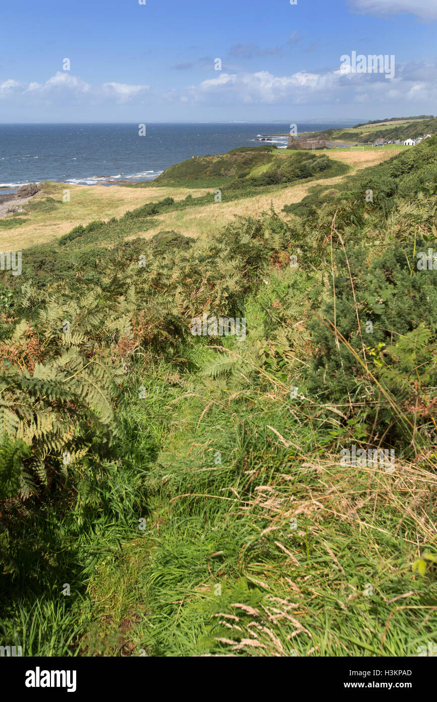 Côte d'Ayrshire, en Écosse. Vue pittoresque de la Côte d'Ayrshire, avec Dunure dans l'arrière-plan lointain. Banque D'Images