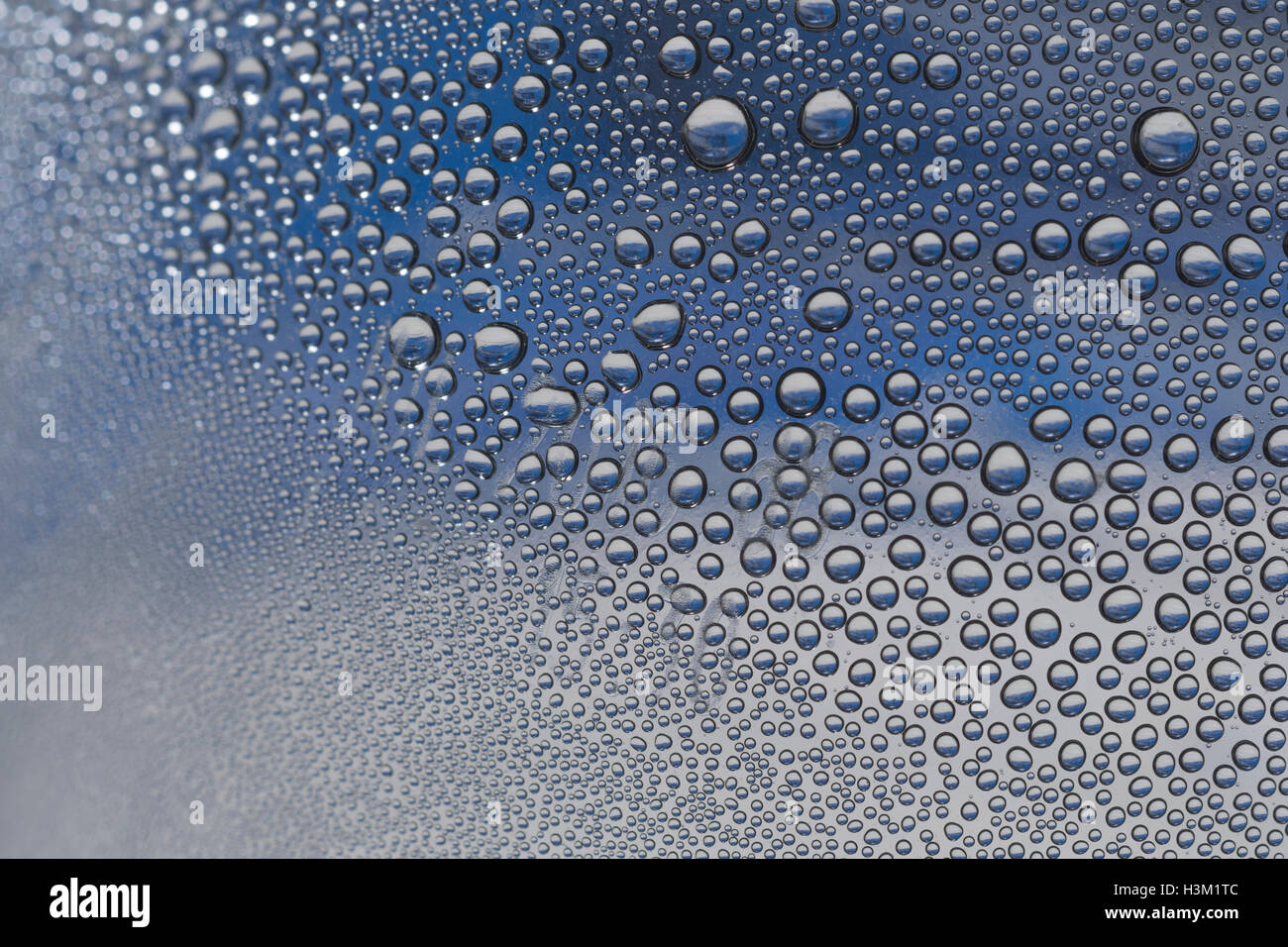 Image abstraite de perles de condensation d'eau à l'intérieur d'une bouteille en PTFE. Concept de la Journée mondiale de l'eau, résumé de la Journée de l'eau, marché du commerce de l'eau. Banque D'Images